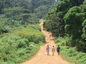 nature danane