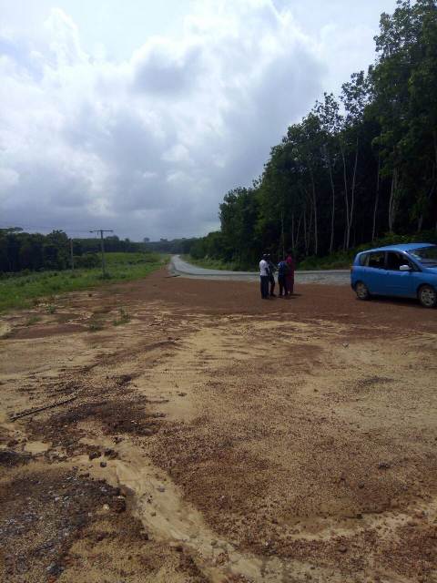 tontine-terrain_le-site (10)