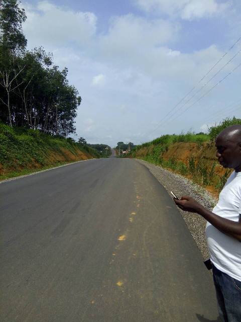 tontine-terrain_le-site (14)