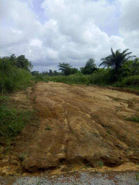tontine-terrain_le-site (4)