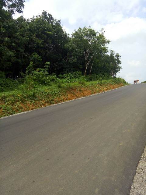 tontine-terrain_le-site (7)