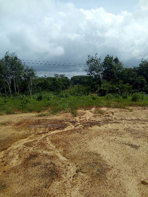 tontine-terrain_le-site (9)